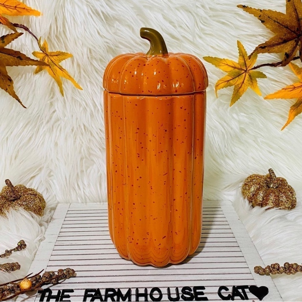 ♡10 Strawberry Street Farmhouse speckled orange pumpkin canister/ jar/ decor!